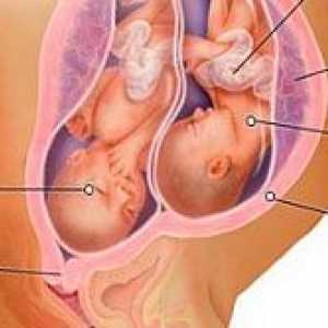 Rentgensko slikanje prsnega koša, v zgodnji nosečnosti